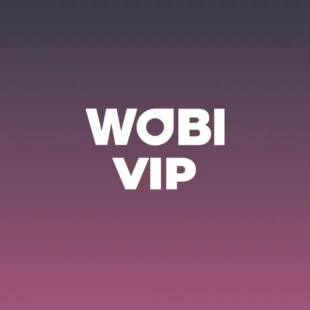 WOBI ITALIA - AI & Business Transformation - VIP